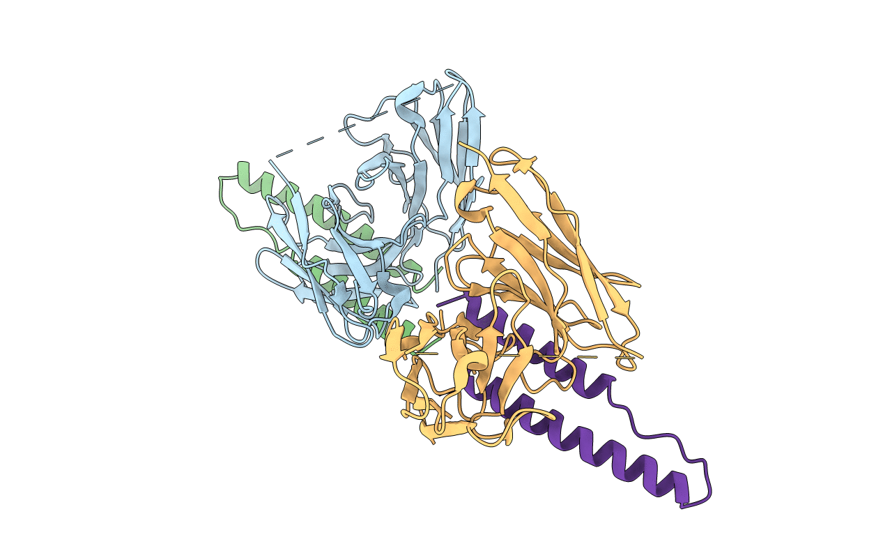 5DHX image