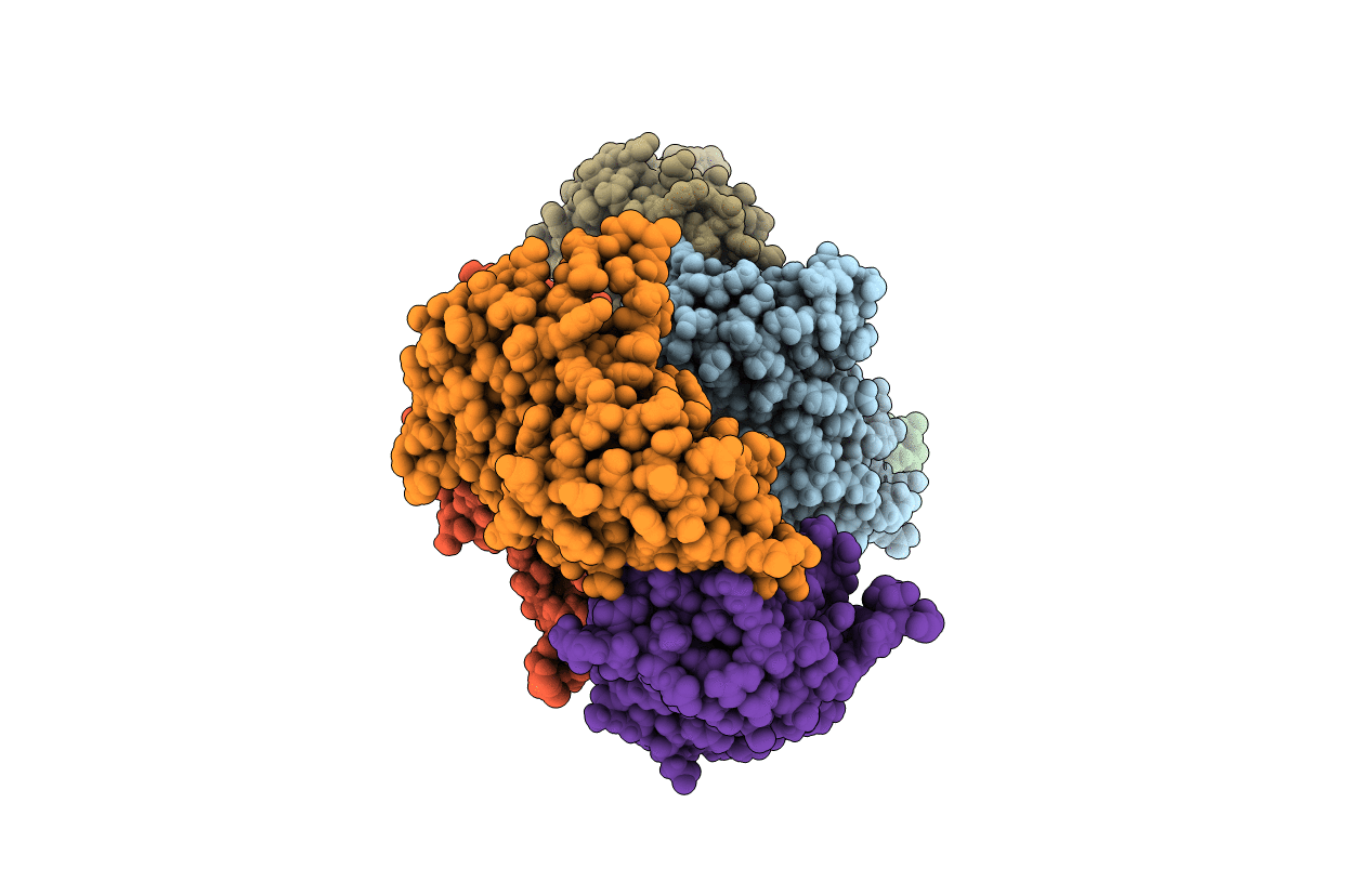 5DII image