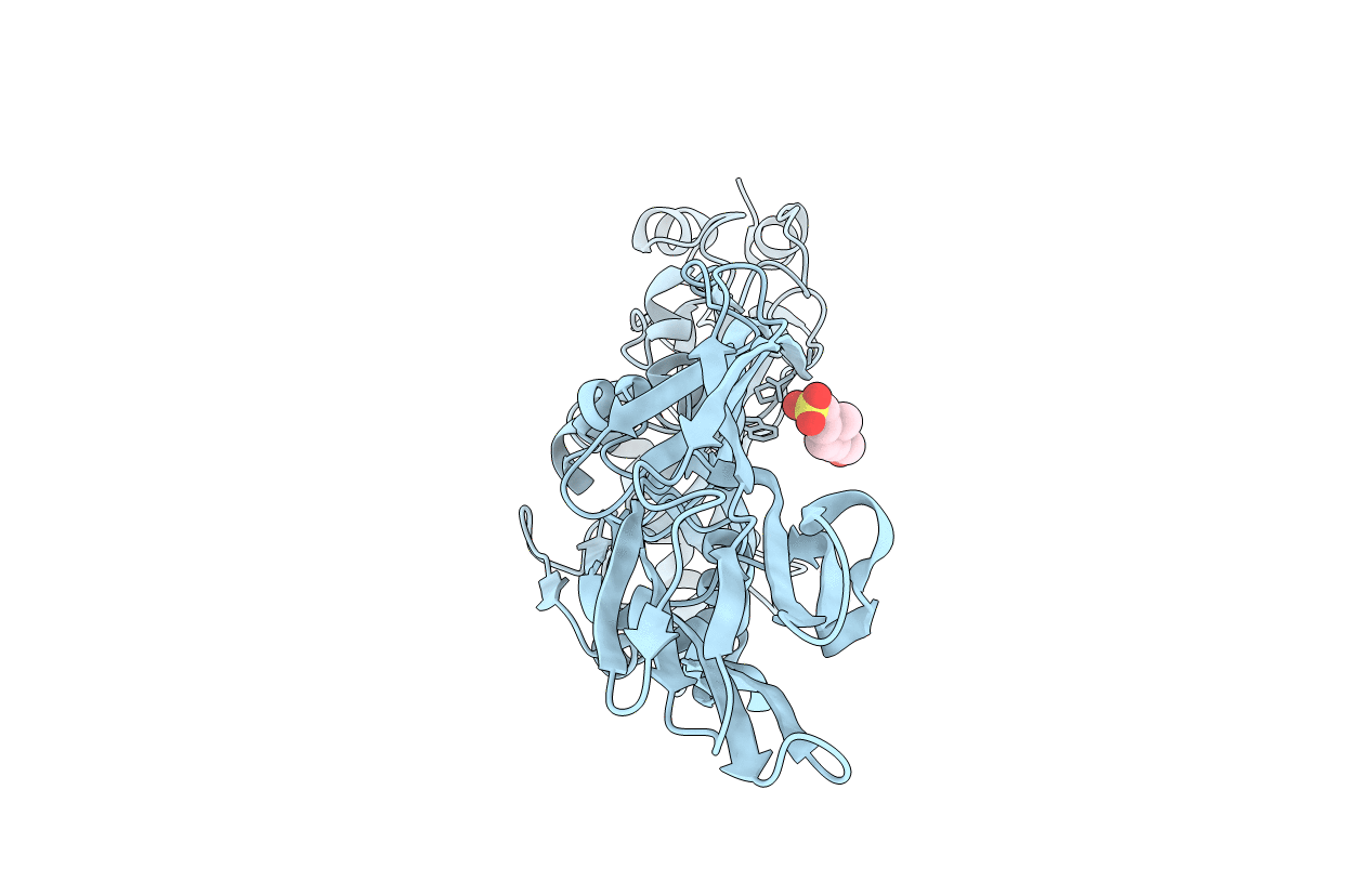 5DIM image