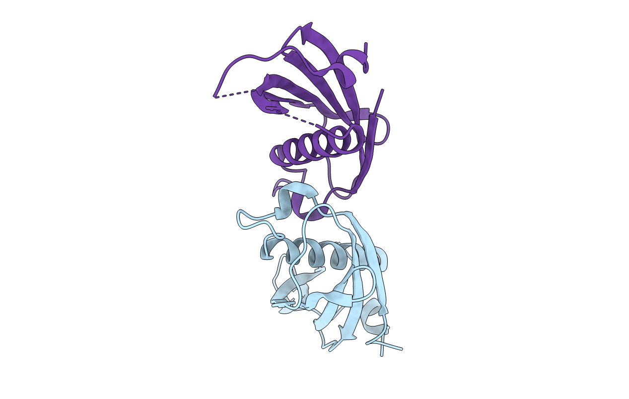 5DIO image