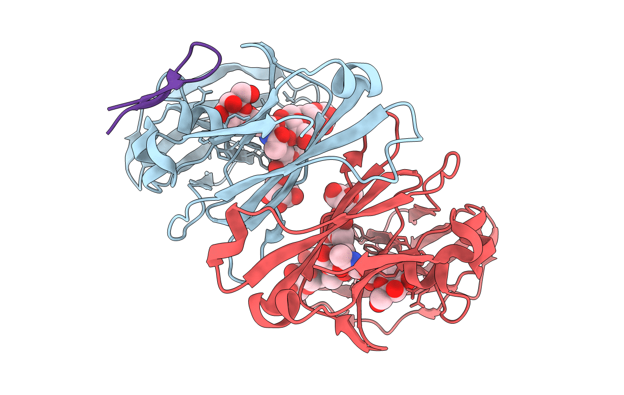 5DJA image