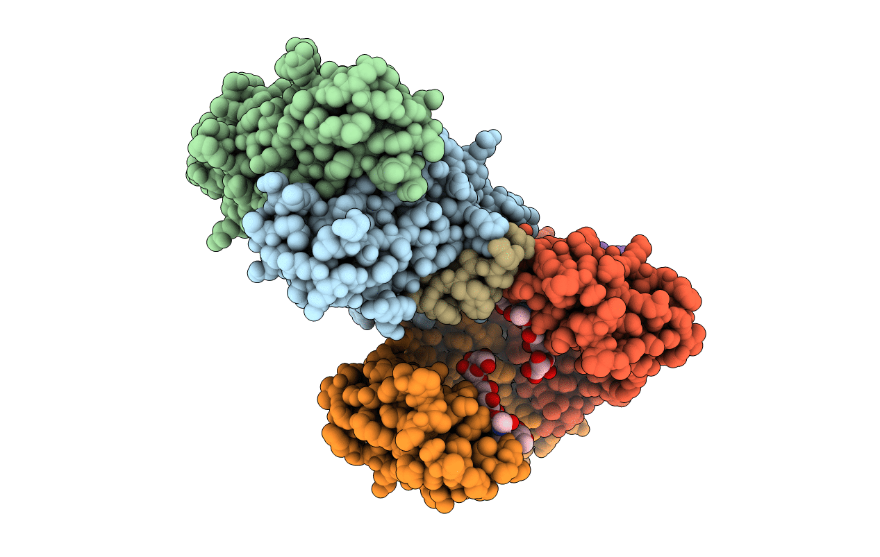 5DJX image