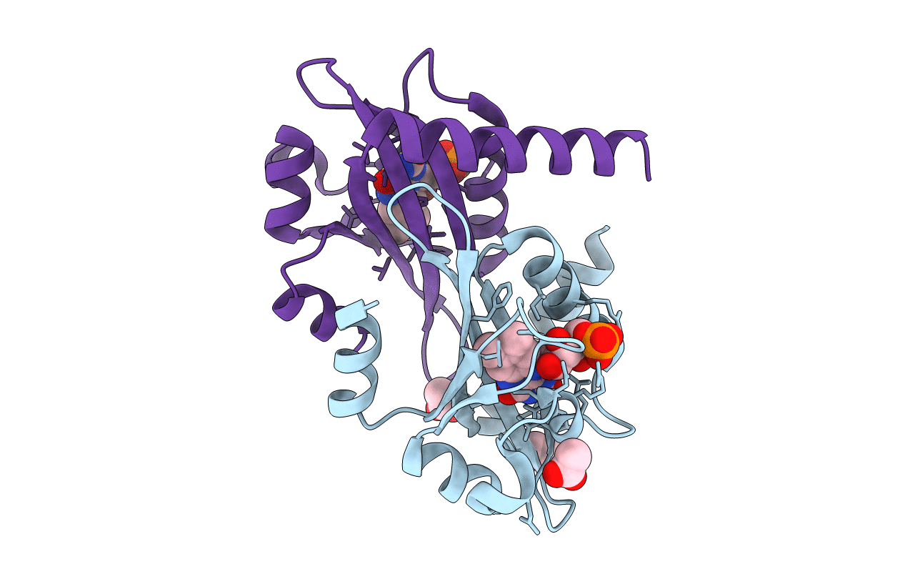 5DKK image