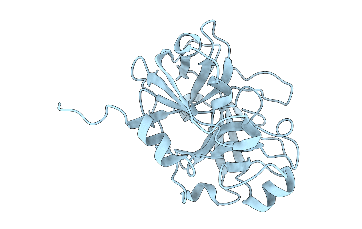 5DKM image