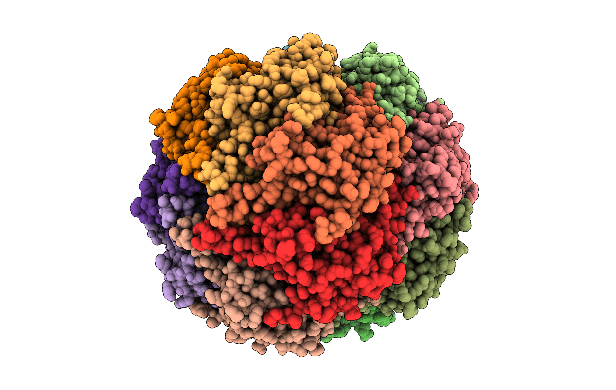 5DL1 image