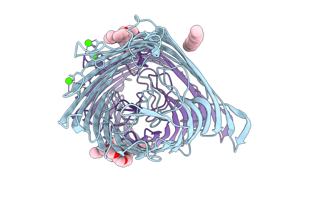 5DL8 image