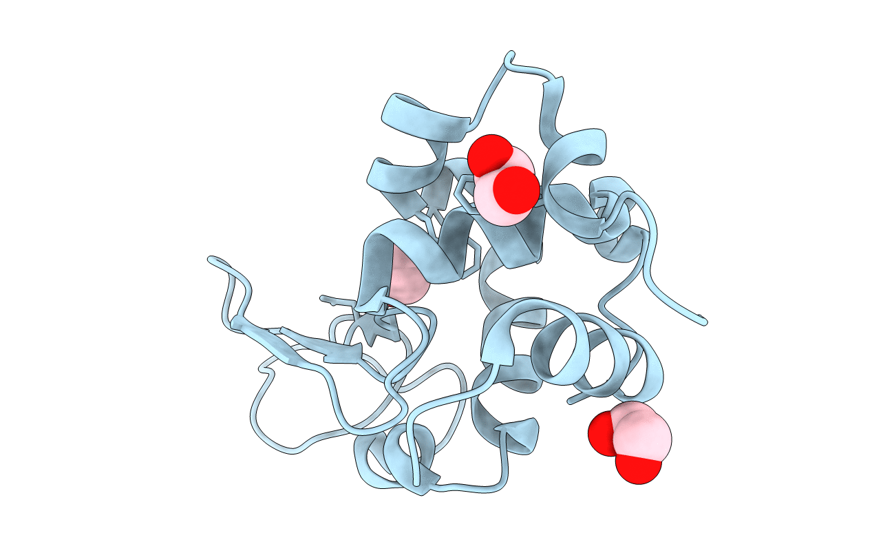 5DLA image