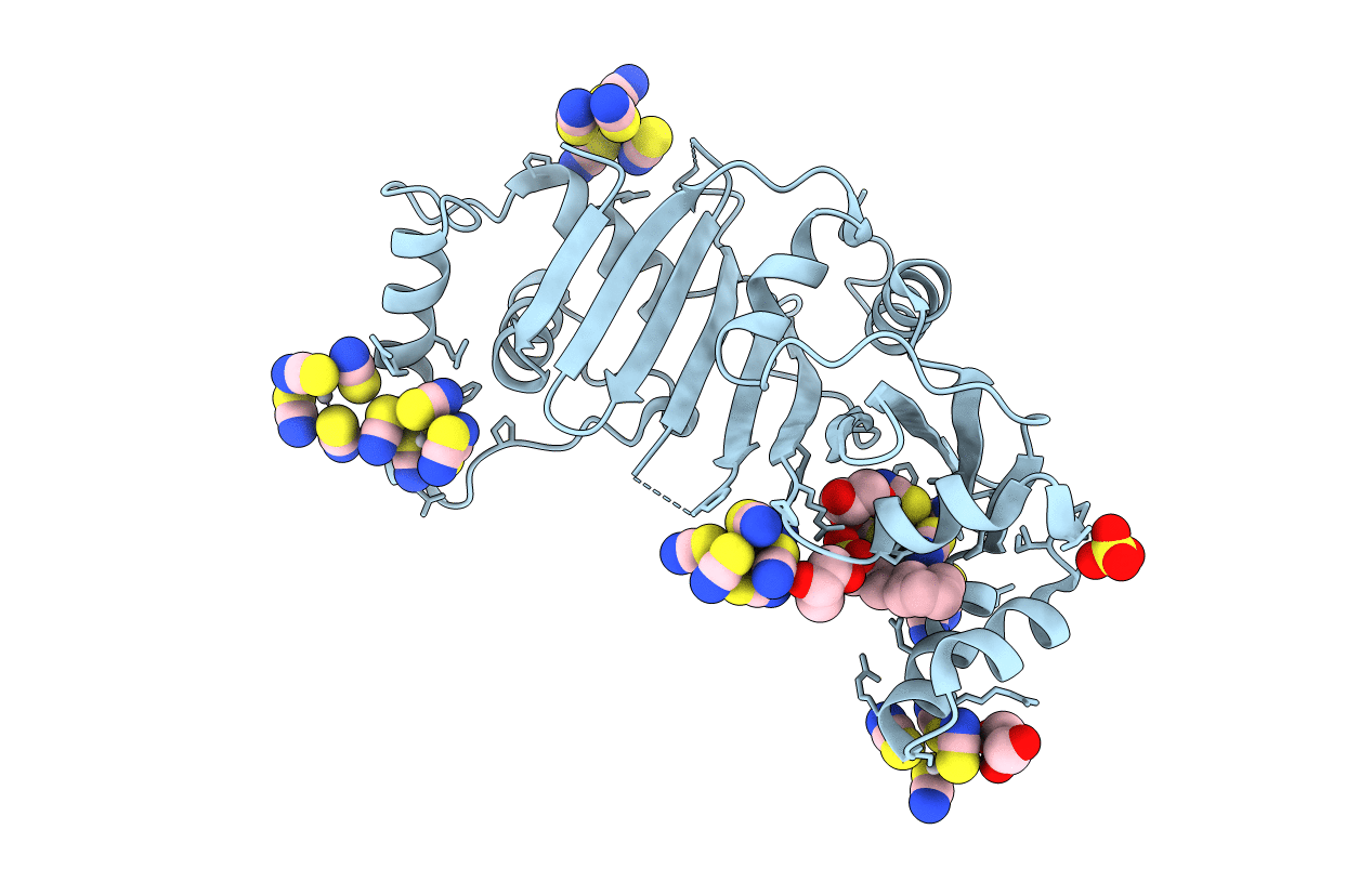 5DLB image