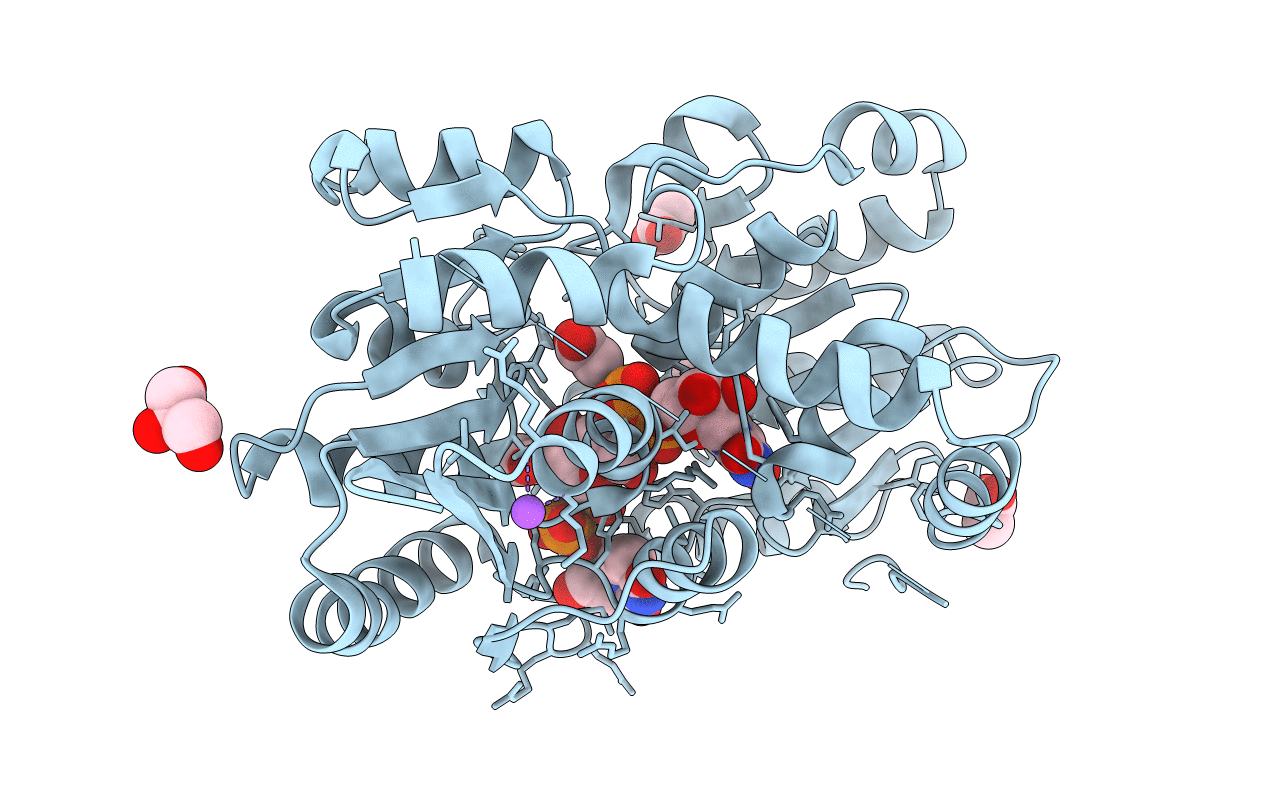 5DLD image