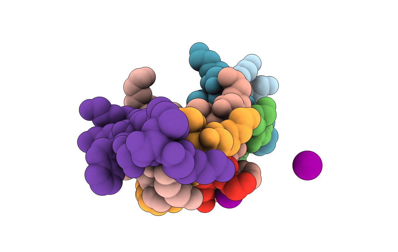 5DLI image