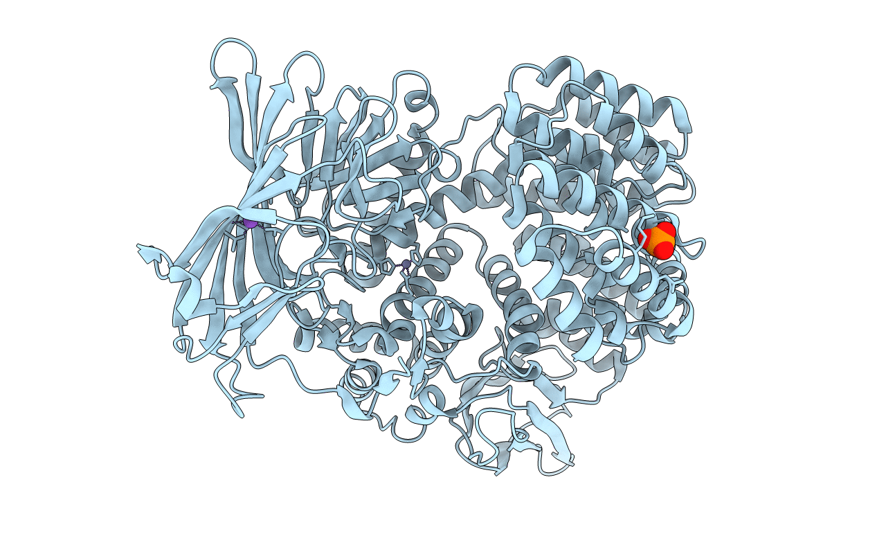 5DLL image