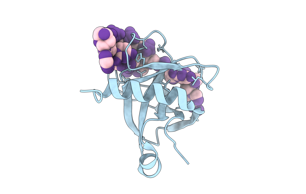 5DLO image