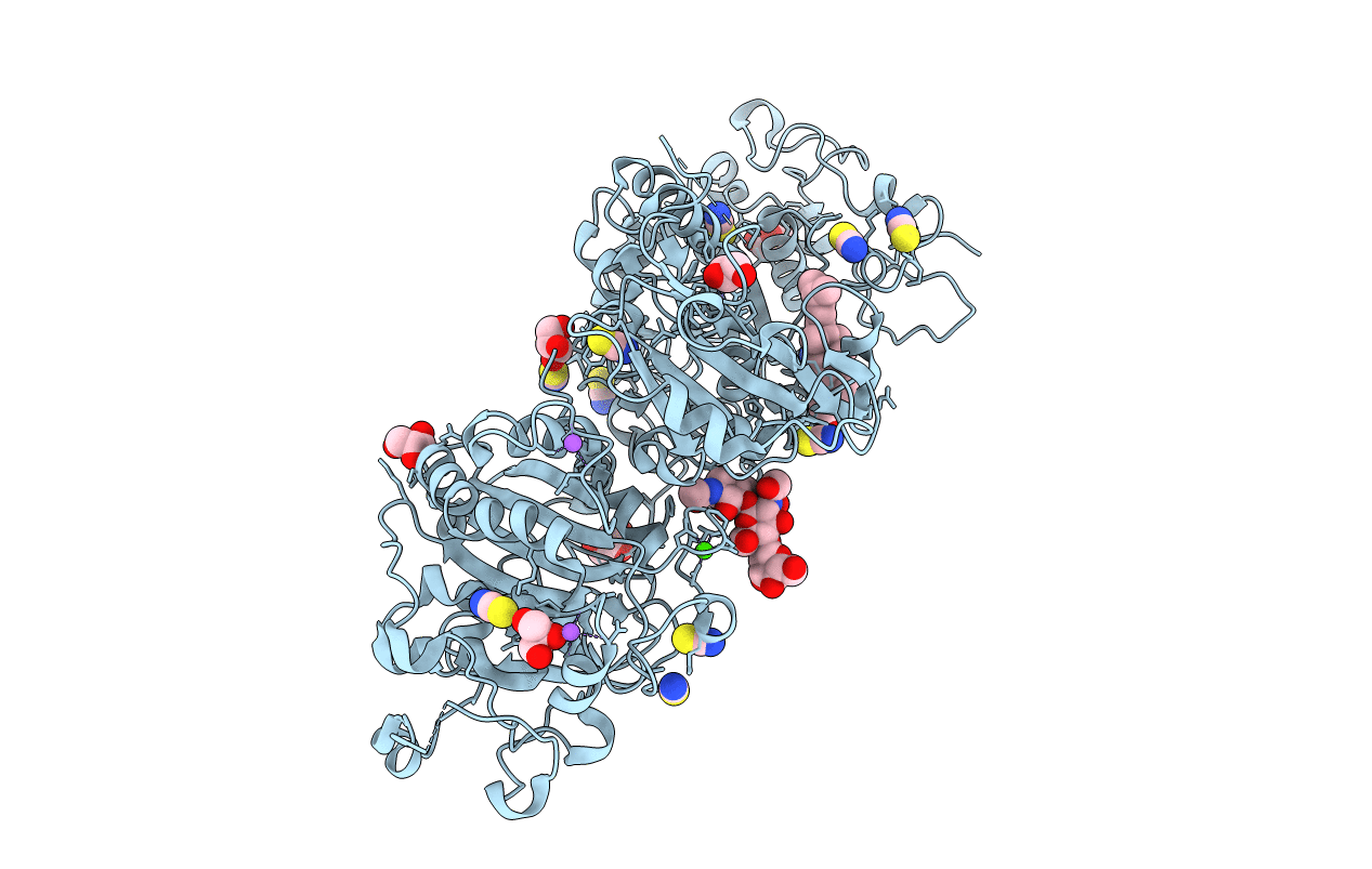 5DLT image
