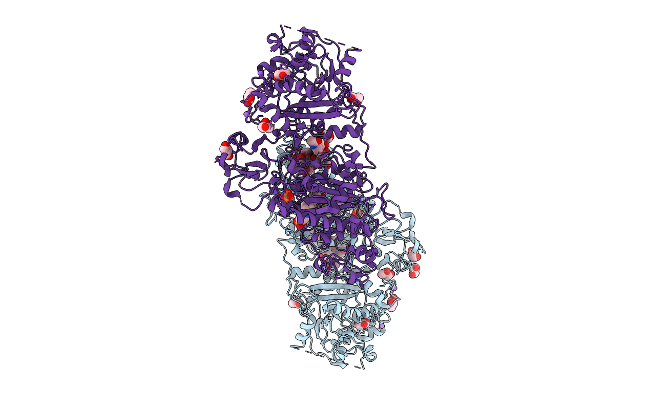 5DLV image