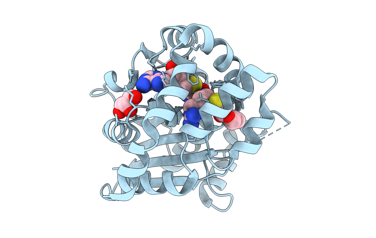 5DM1 image