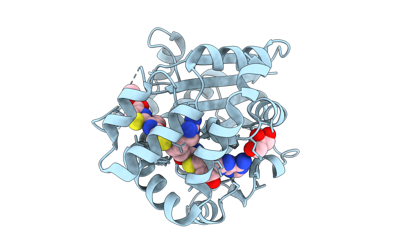 5DM2 image
