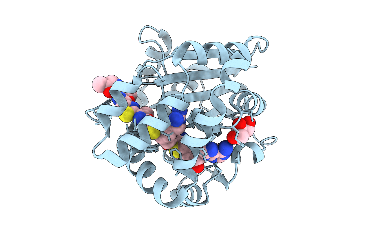 5DM4 image