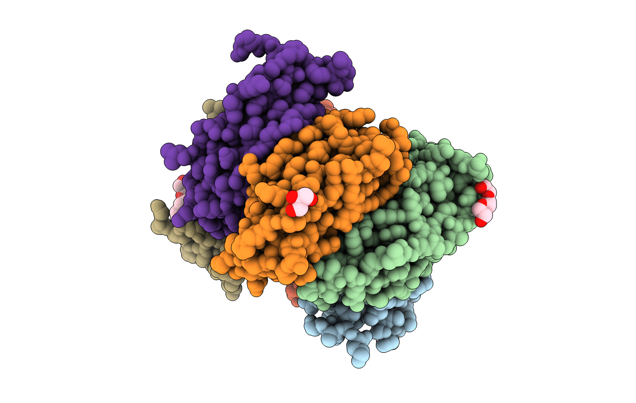 5DM5 image