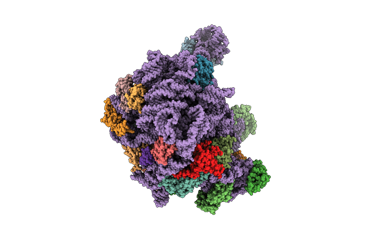 5DM6 image