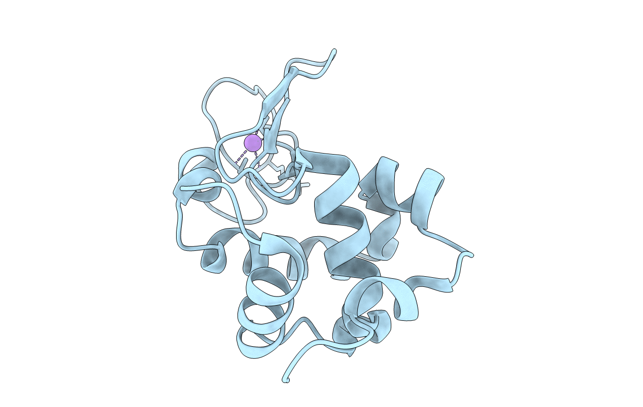 5DM9 image