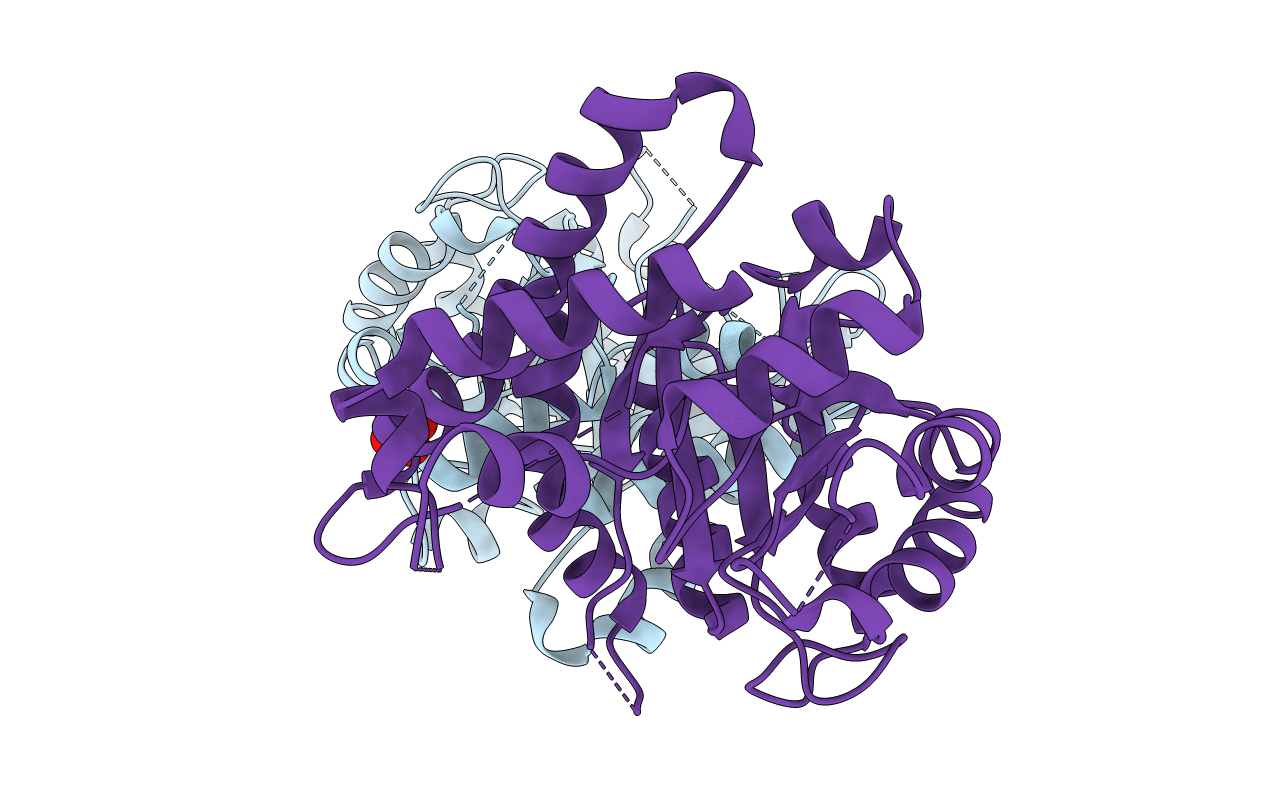 5DMN image