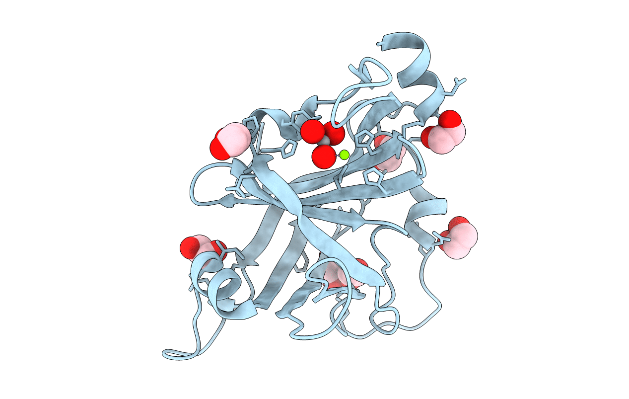 5DMP image