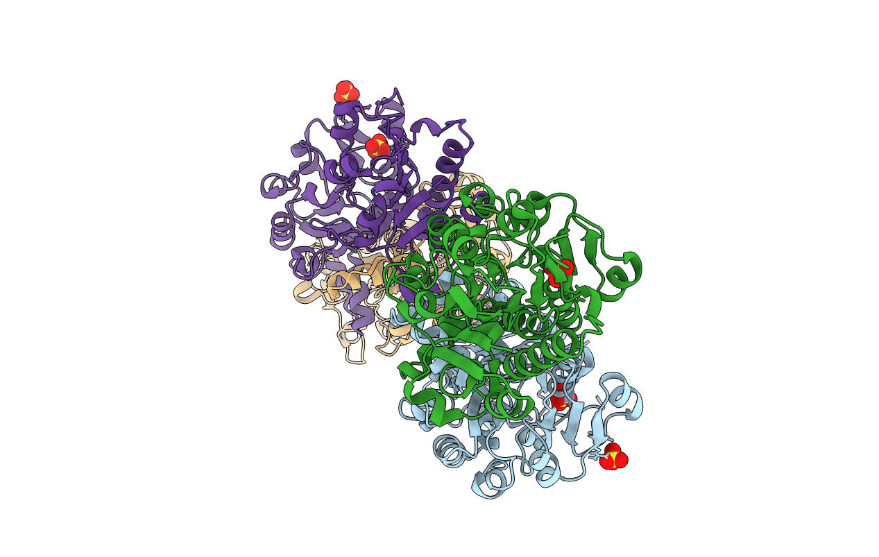 5DNA image