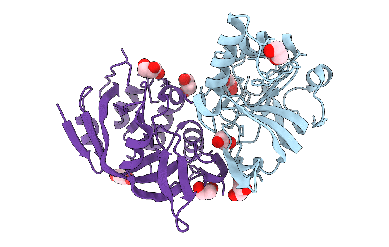 5DNI image
