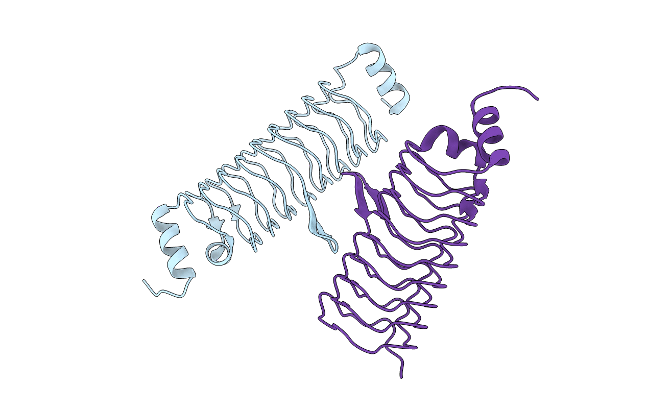 5DNS image