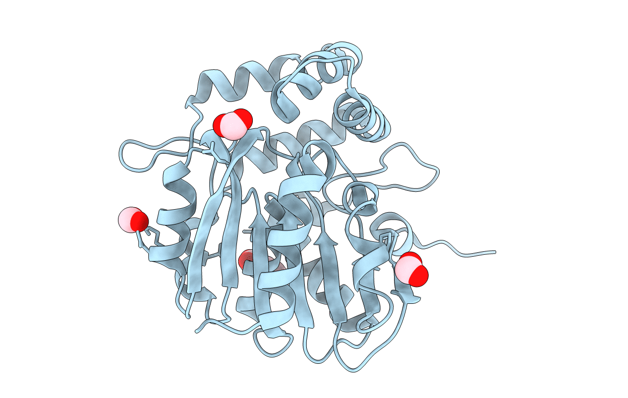5DNV image
