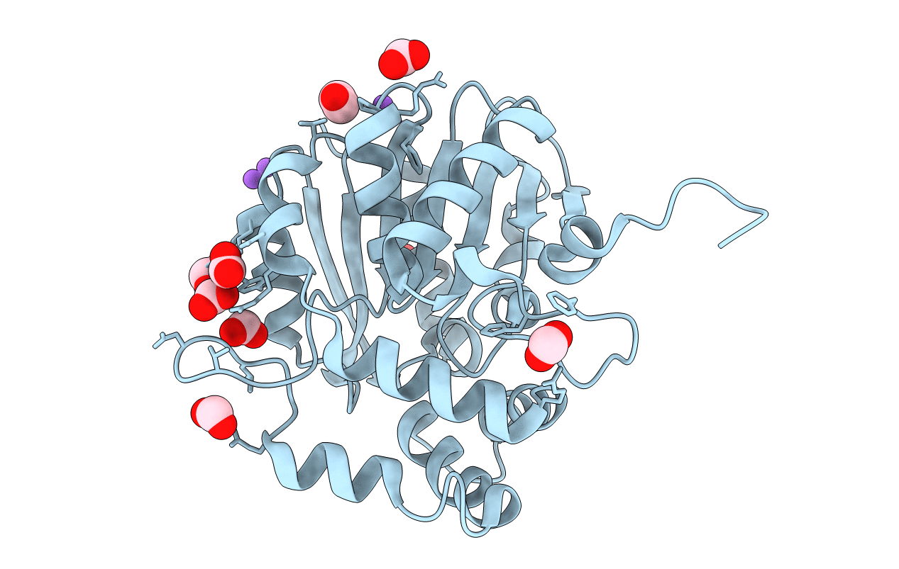 5DNW image
