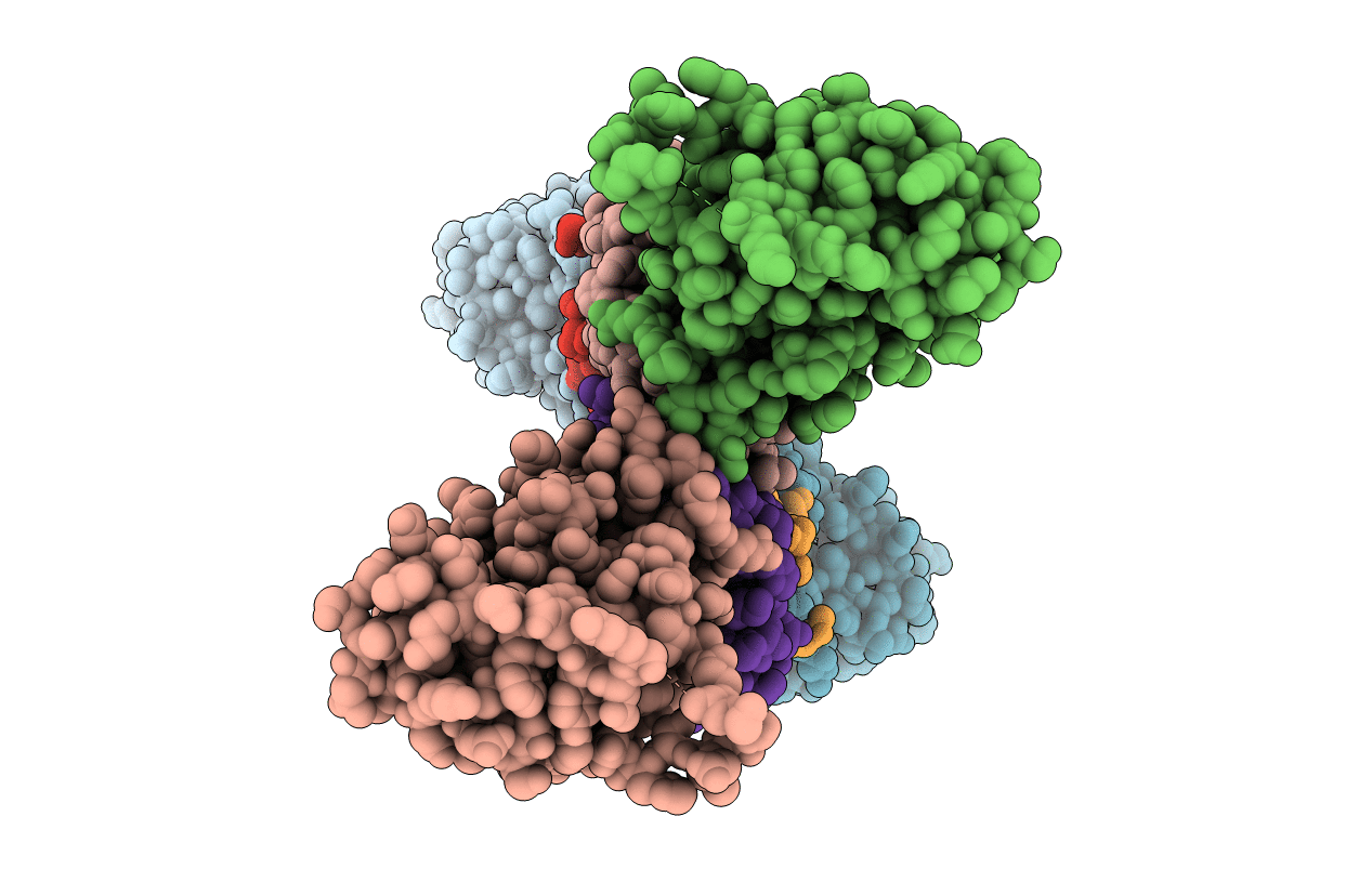 5DOI image