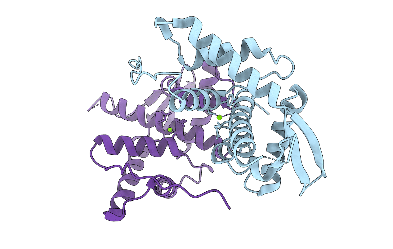 5DOK image