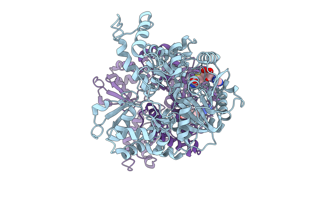 5DPD image
