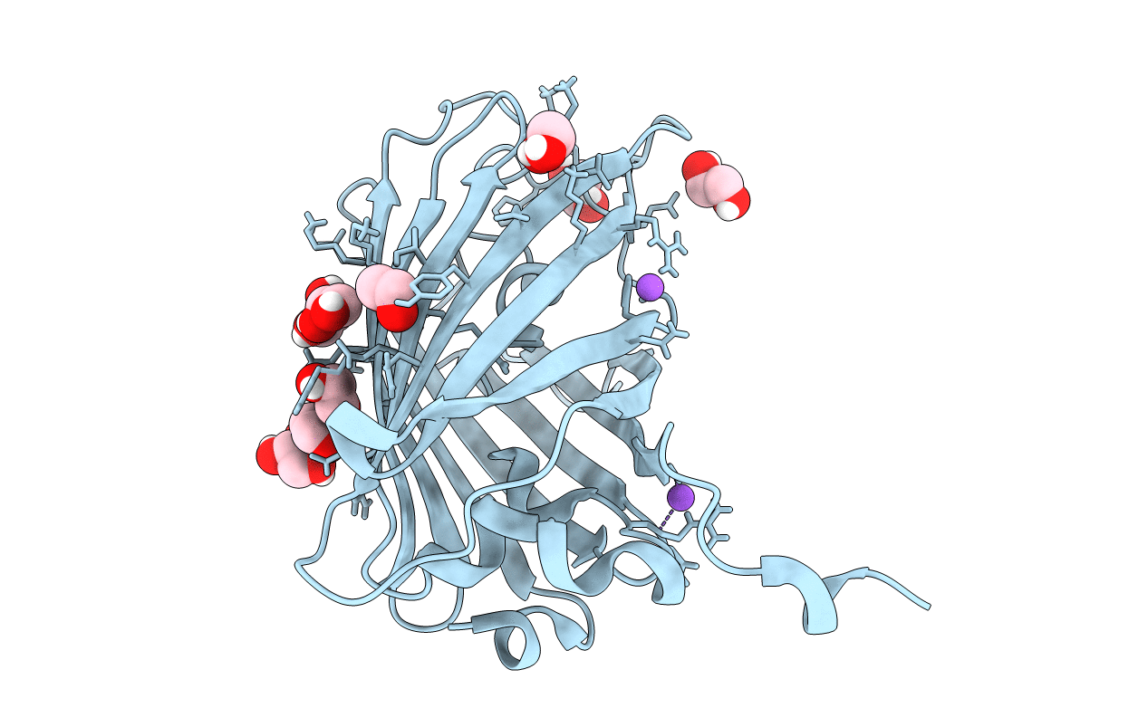 5DPG image