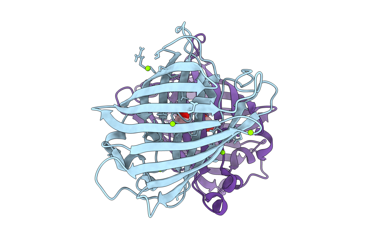 5DPH image