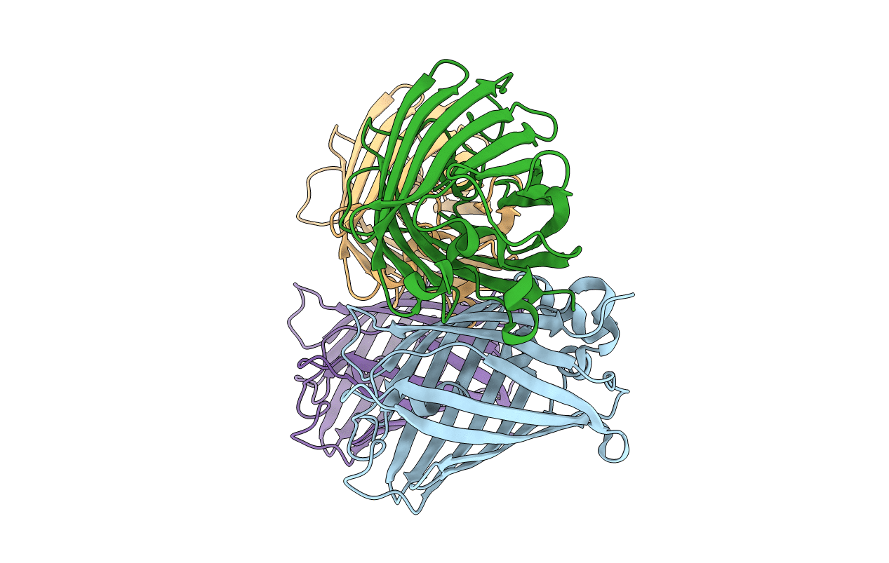 5DPJ image