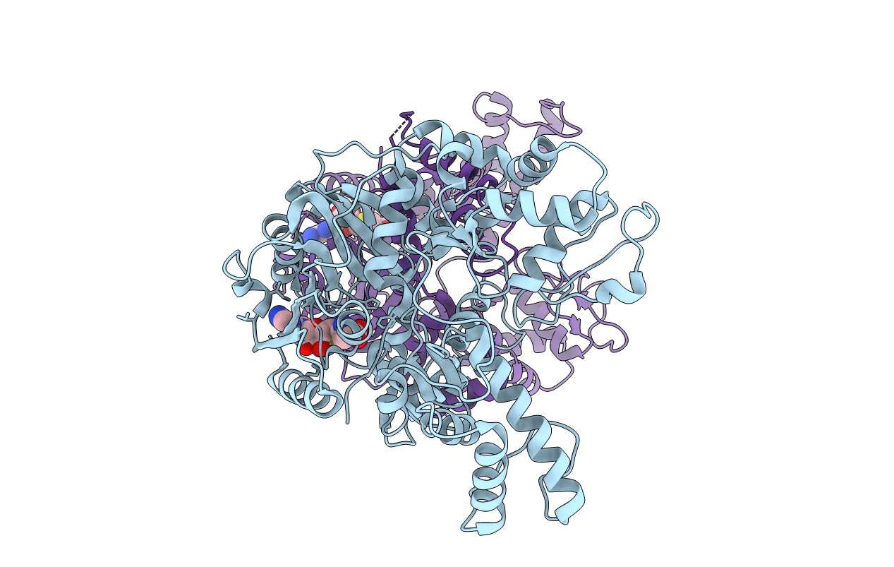 5DPL image