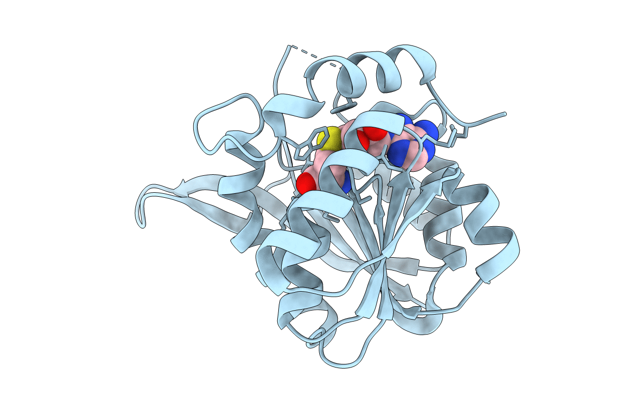 5DPM image