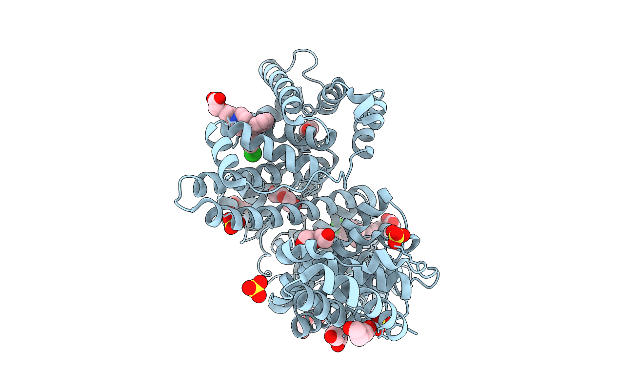 5DQF image
