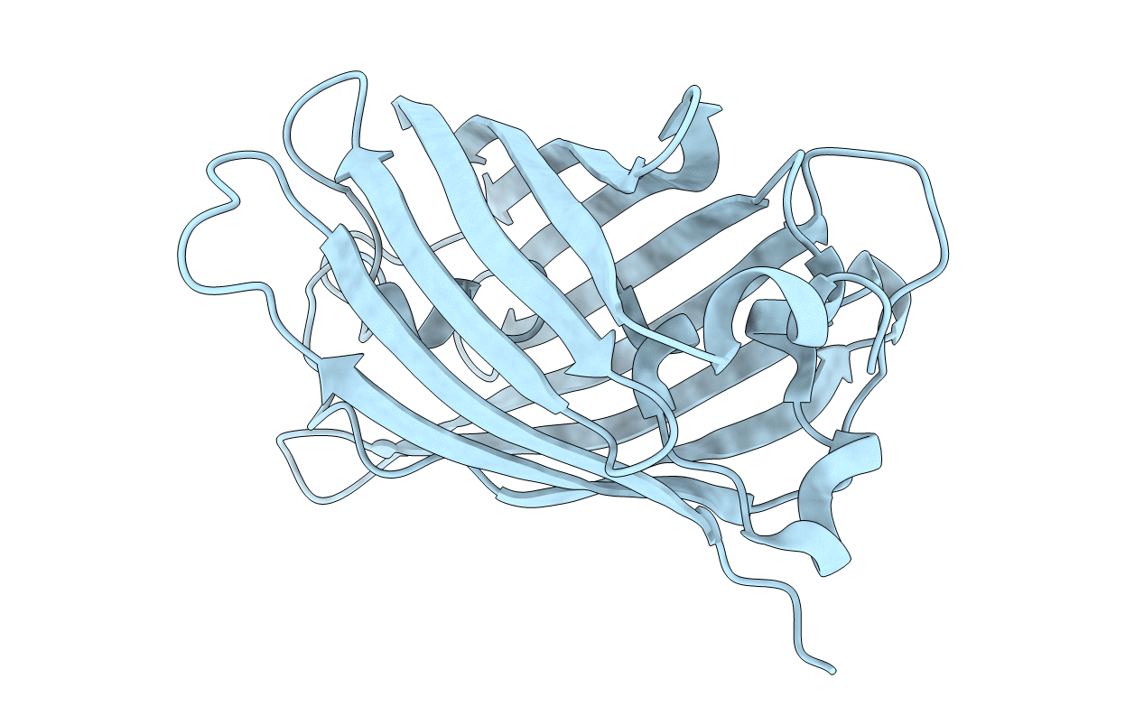 5DQM image