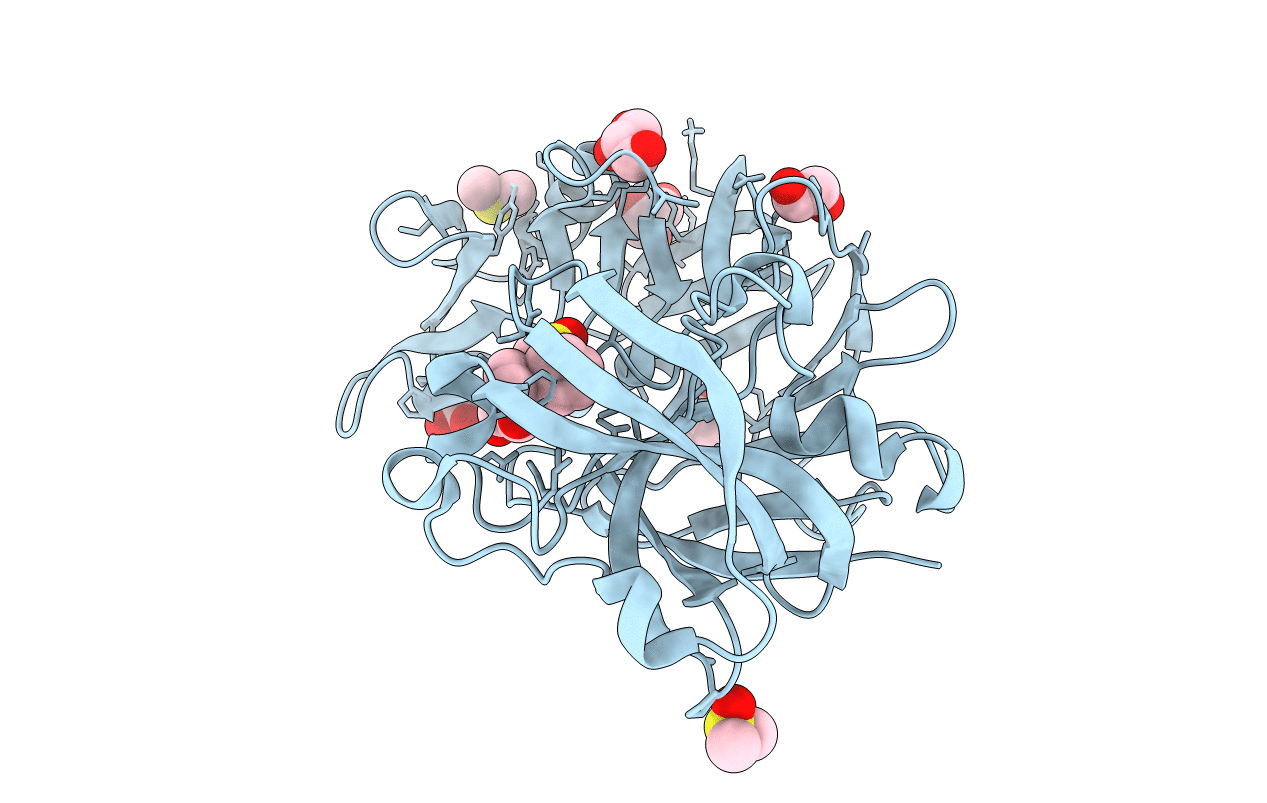 5DR1 image