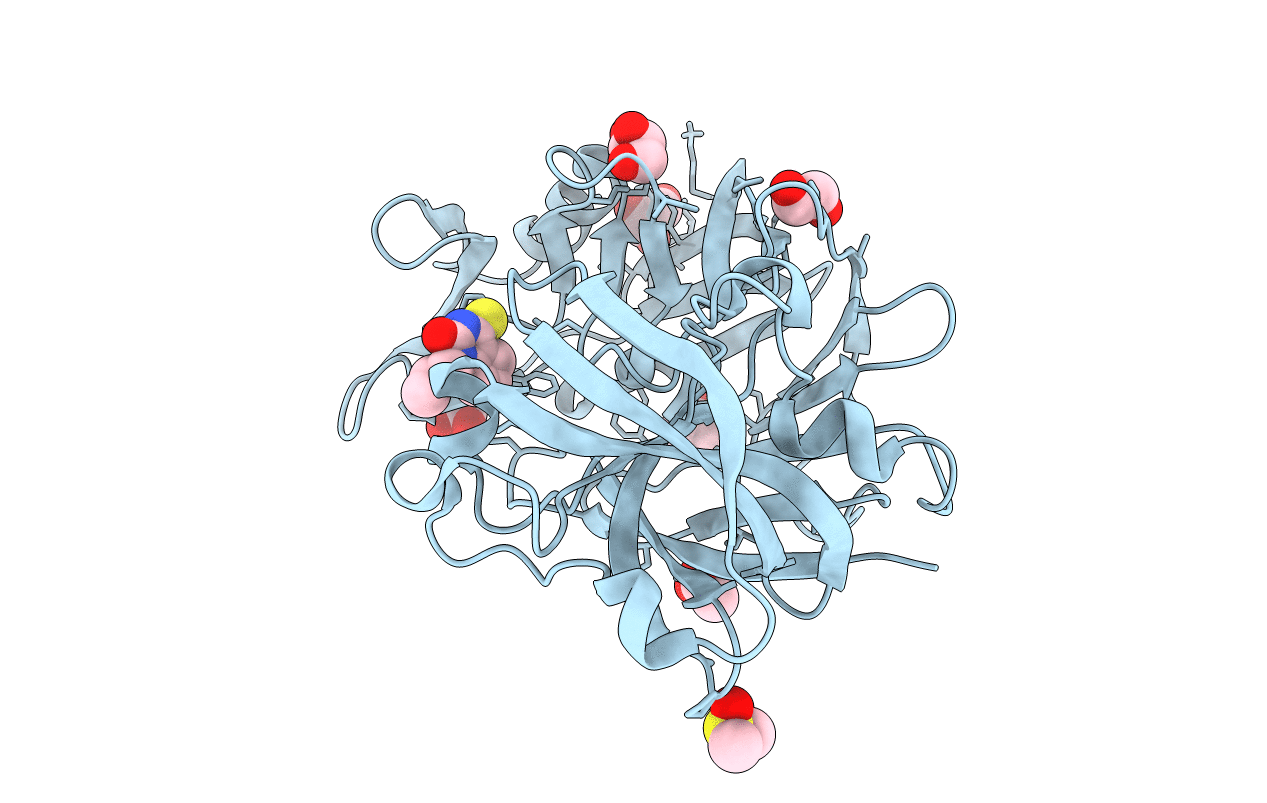 5DR3 image