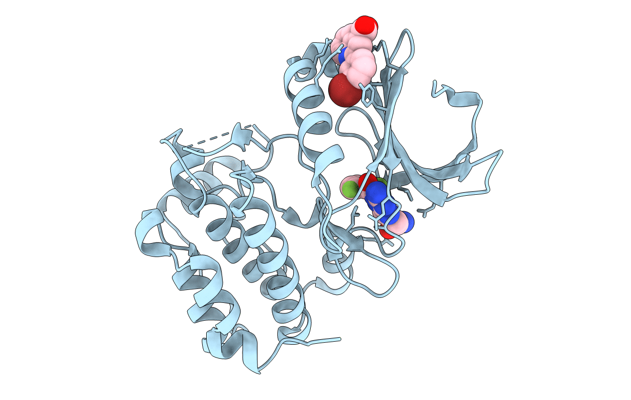 5DR6 image