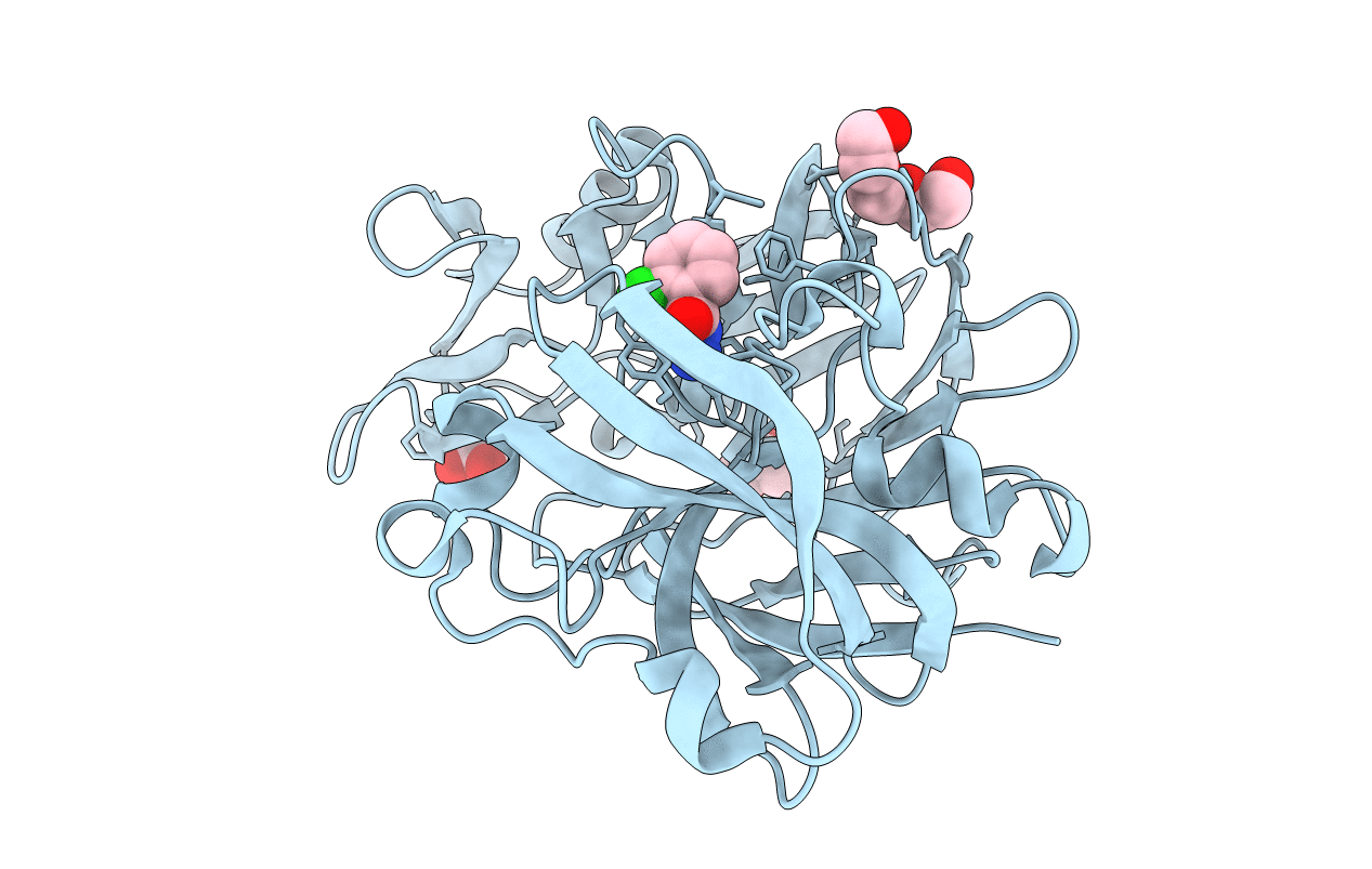 5DR8 image