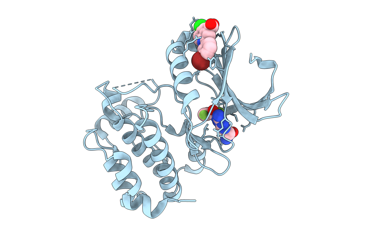 5DR9 image
