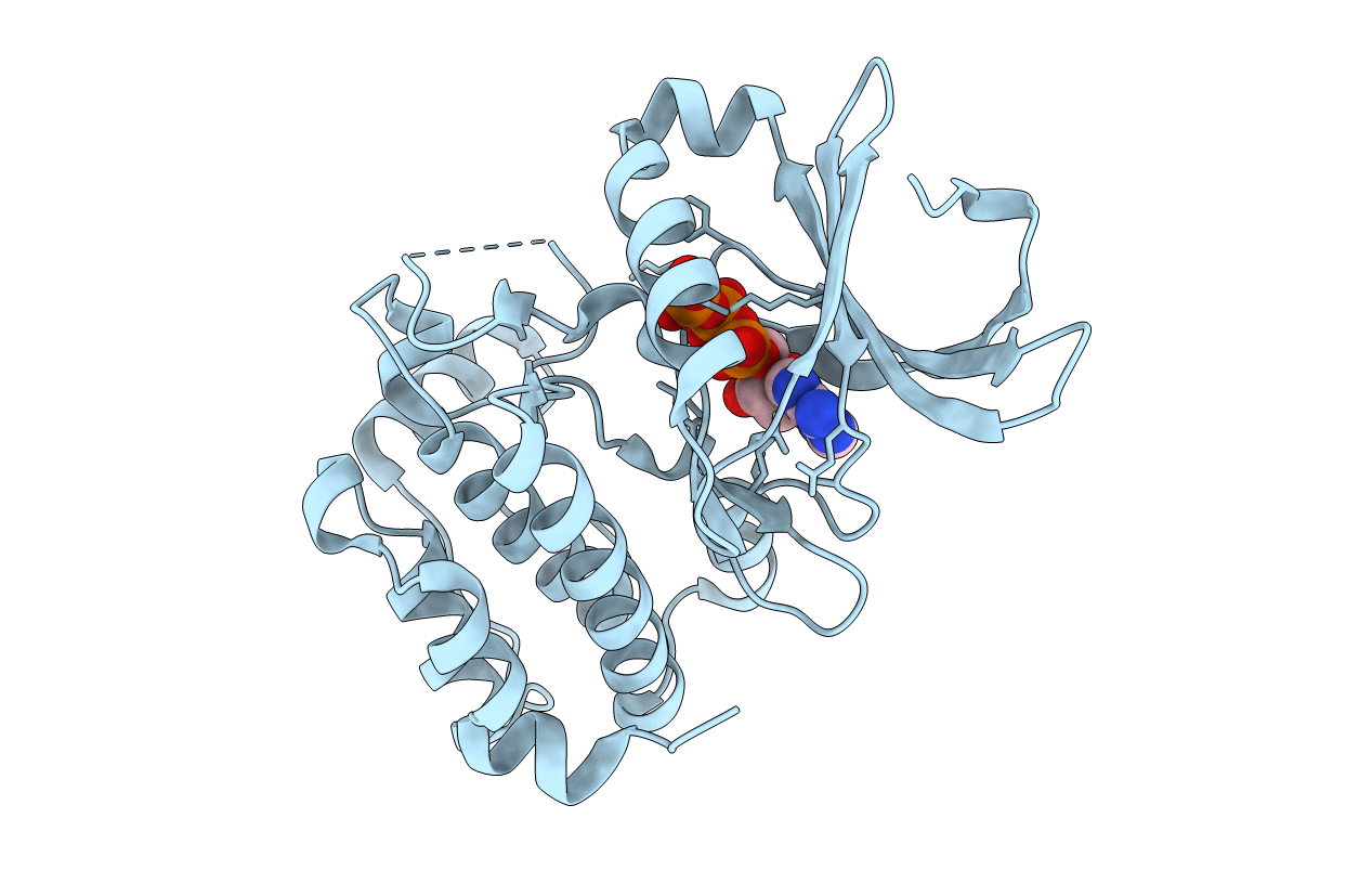 5DRD image