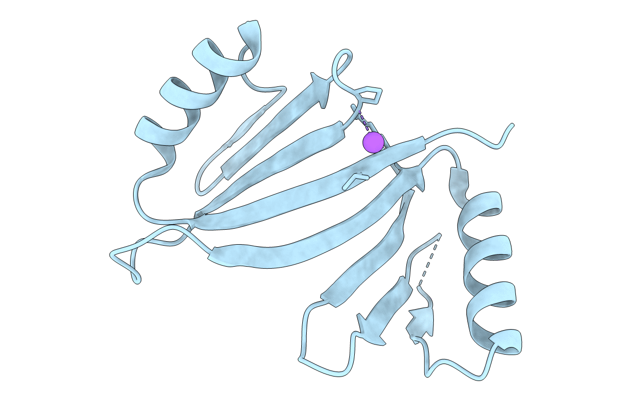 5DRH image