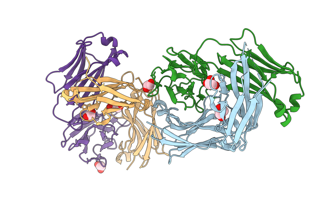 5DRX image
