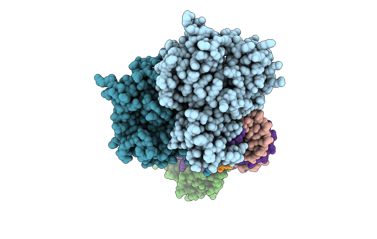 5DS6 image